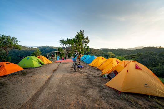 Blurring Lines: Artistic Merit vs. Exploitation in Adult Entertainment